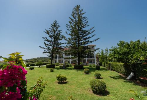 Sofia - Yiota Studios & Apartments, Tsilivi (fotografie 5)