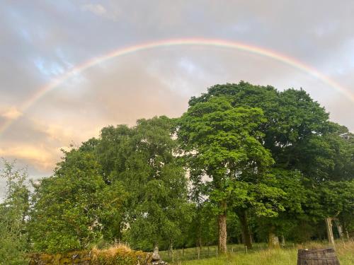 Stoneymollan over Loch Lomond