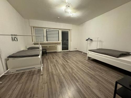 MSC Lampertheim in Lampertheim