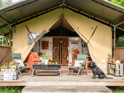 Black Pig Retreats Luxury Glamping - Hotel - Shaftesbury