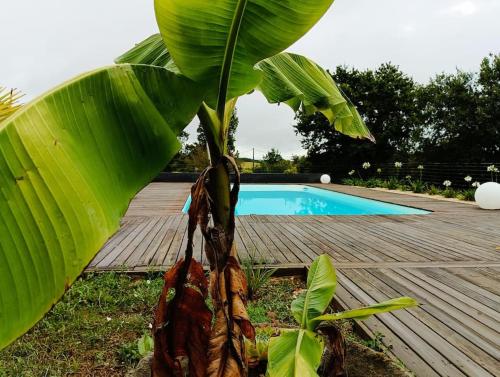 GRAND GÎTE GIRONDE 12 personnes gîte à louer Caumont