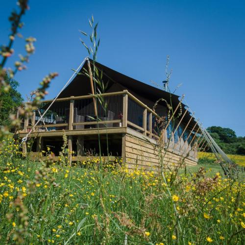 Black Pig Retreats Luxury Glamping