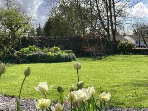 Relaxing studio and garden in St Hilary