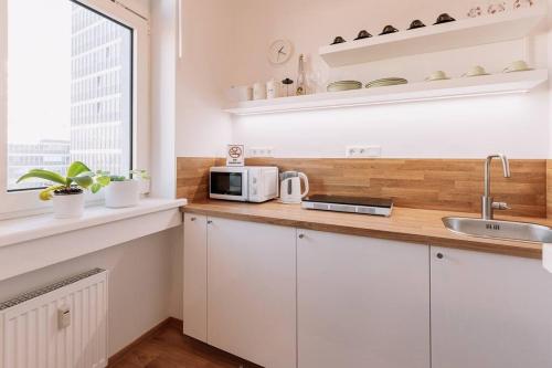 BNB Slovakia Charming Nest in Old Town, Bratislava (fotografie 7)