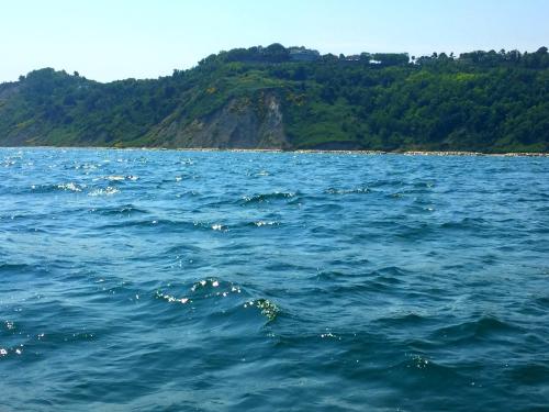 Hotel Alexander - image 4