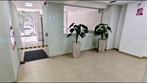 Corazon de Flores in Flores