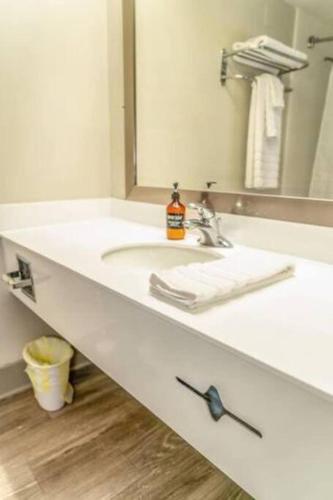 Cozy Apt w/ QueenBed_Dt_WiFi_DogsPark_GYM+Pool+TV in Chattanooga, USA