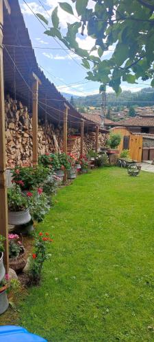 Hotel Rai - image 12