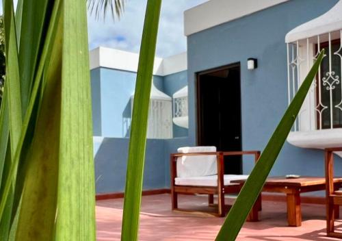 Casa Ekinox in Petkanché, Mexico