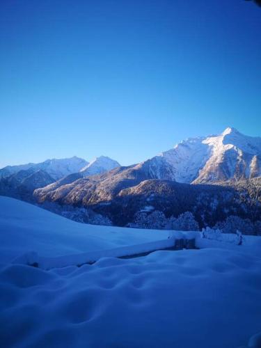 Rustico Valgrazia in Faido