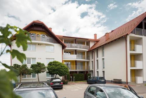 Apartments Moravske Toplice - image 9