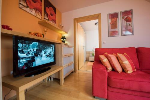 Apartments Moravske Toplice - image 10