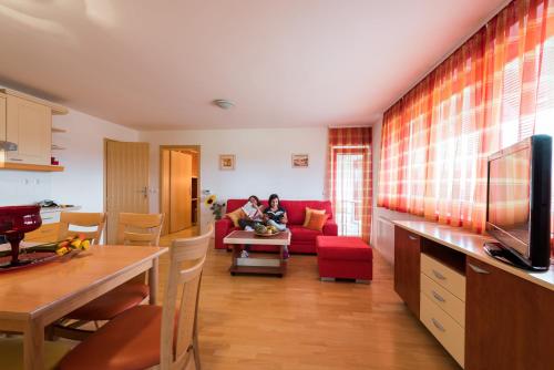 Apartments Moravske Toplice - image 11