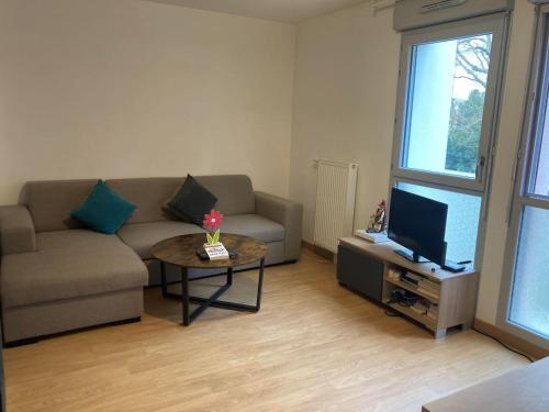 Beautiful apartment floor 1/1- close to Paris - Location saisonnière - Saint-Maur-des-Fossés