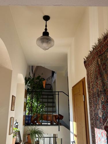 Vista exterior, Alte Gerberei in Bautzen