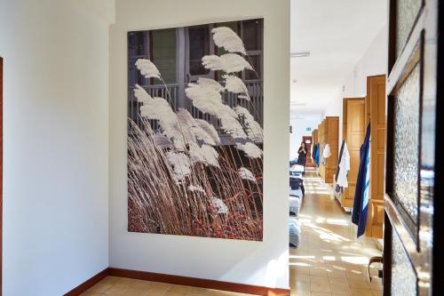 Albergue Seminario Menor - image 8