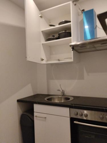 Evido City Apartment, Salzburg (photo 9)