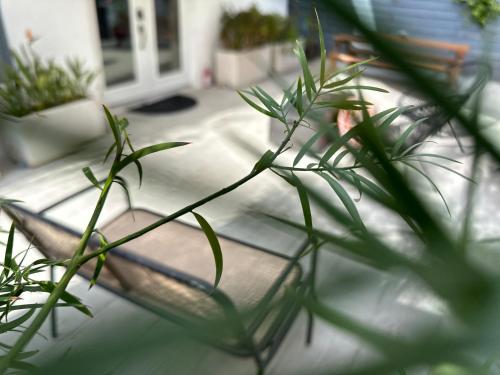 Resort Getaway in Private Garden Terrace Villa w Luxury Amenities, Los Angeles (photo 10)