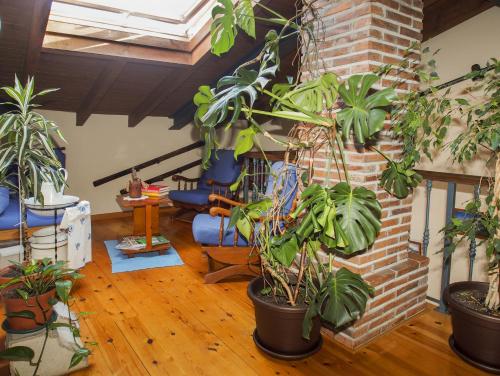 Seadmed, Casa de la Montana Albergue Turistico in Onis