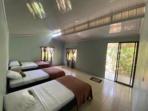 Cabinas Corcovado Green Parrot, Los Planes Drake in Los Planes