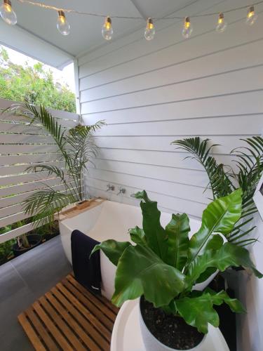 المرافق, Luxury private guest suite in the Blue Mountains in سبرينغ وود