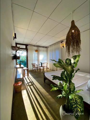 Coconut Grove - Midigama Coconut Grove - Midigama