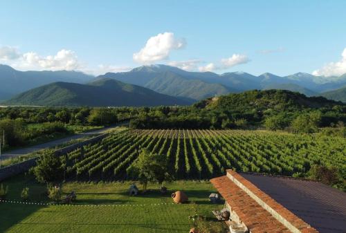 B&B Q’vareli - Chubini Winery & Cabins - Bed and Breakfast Q’vareli