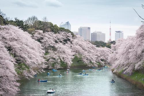 Shangri-La Tokyo