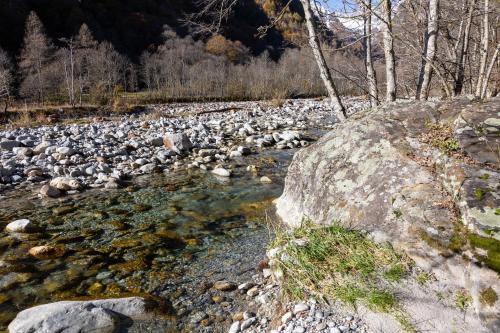 Apkārtne, Verzasca Lodge Elma in Frasko