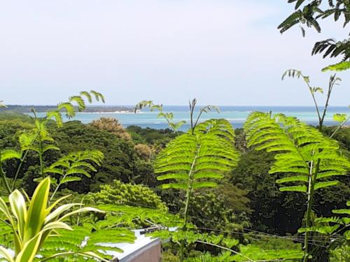 Okružje, The Nest Tobago Apartments in Buccoo