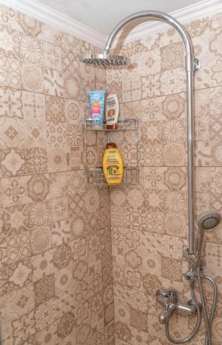 Marathi Apartments - image 11