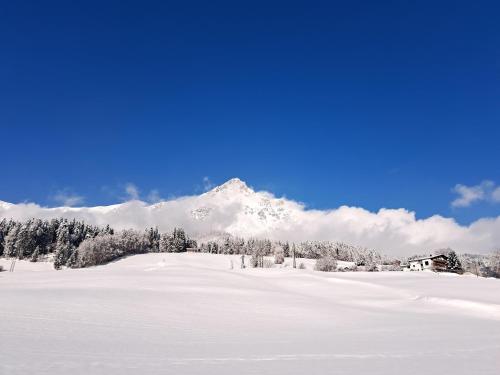 Appartement Exenberger in Ellmau