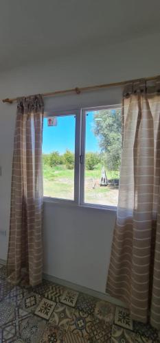 Don Silvestro in Rama Caida