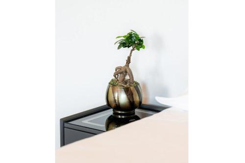 Bes Residence Bergamo Polaresco, Bergamo (photo 9)