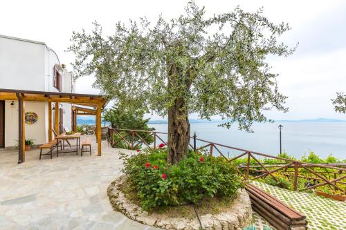 Starhost - La Casella seaview garden terrace and parking, Cetara (photo 3)