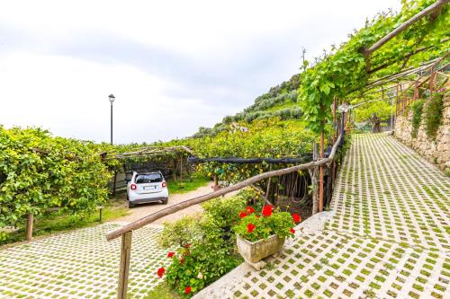 Starhost - La Casella seaview garden terrace and parking, Cetara (photo 2)