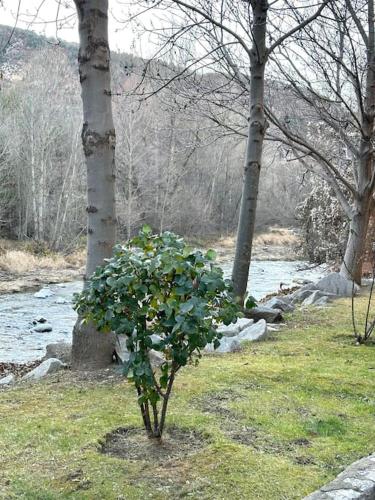 Acogedor alojamiento en Martinet, Cerdanya.