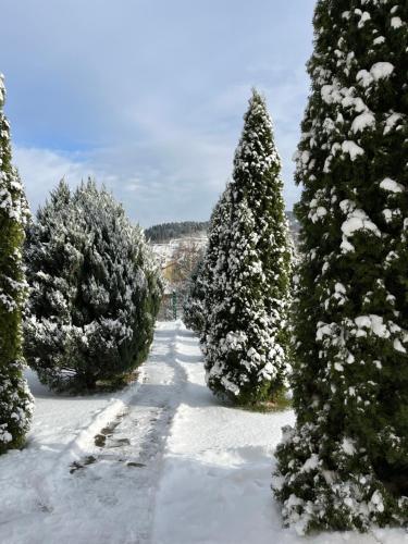 Вілла ЮРАН Східниця, Schidnyzja (Foto 8)