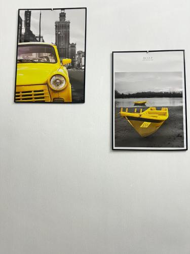 Rose Case by Check In Host