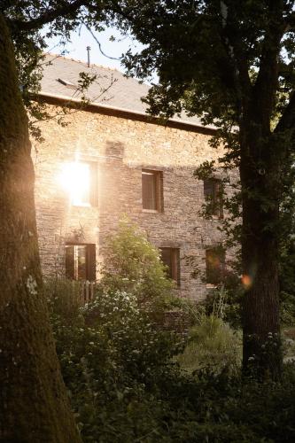 Moulin de la Houssaie - Parc arboré et ses étangs