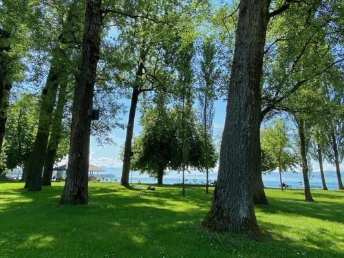 周邊環境, Ferienwohnung Am Landesteg - Maisonette mit 2 Balkonen exklusiv und am See in 克雷斯波洛安博登湖