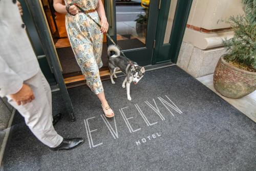 The Evelyn NoMad - image 11