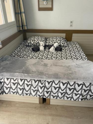 Studio cabine vu sur piscine in Vallon du Mal Temps