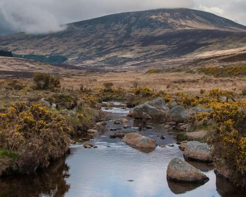 Knockanree Cottage-Quiet, tranquil country hideaway