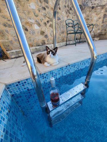 La rose du vent chambre d'hôte Saint-Pargoire