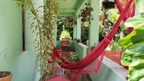 Lar do tio Roco em paraty in ปาราตี มิริม