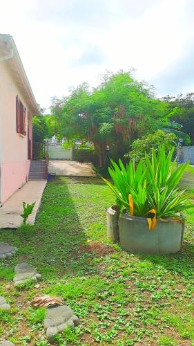 Maison de 3 chambres avec jardin clos et wifi a Anse Bertrand