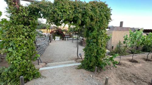 Santerra, Valle de Guadalupe