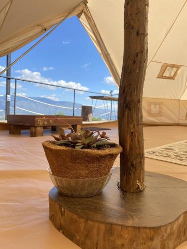 View, Iraca Glamp in La Rosita