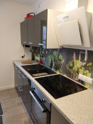 One-Bedroom Apartment image 10